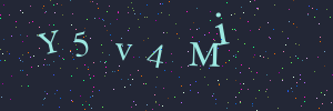 Validation image