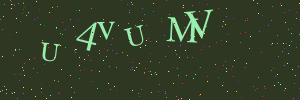 Validation image